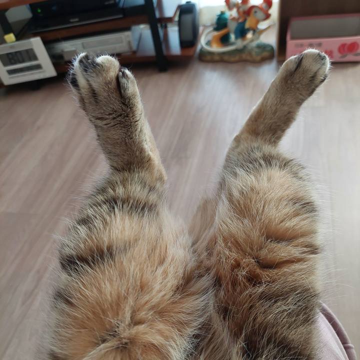 0899c97a 0a54 4318 a04d 116bb82a590c 1706051087016