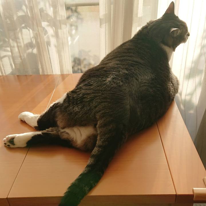 0899d6ba 7782 4358 b64f 5f6647b50a3e 1573510926865