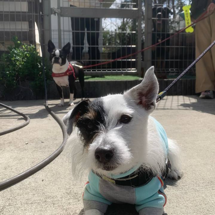 089a09a7 3796 4b80 8967 c0324087ab90 1743816855059