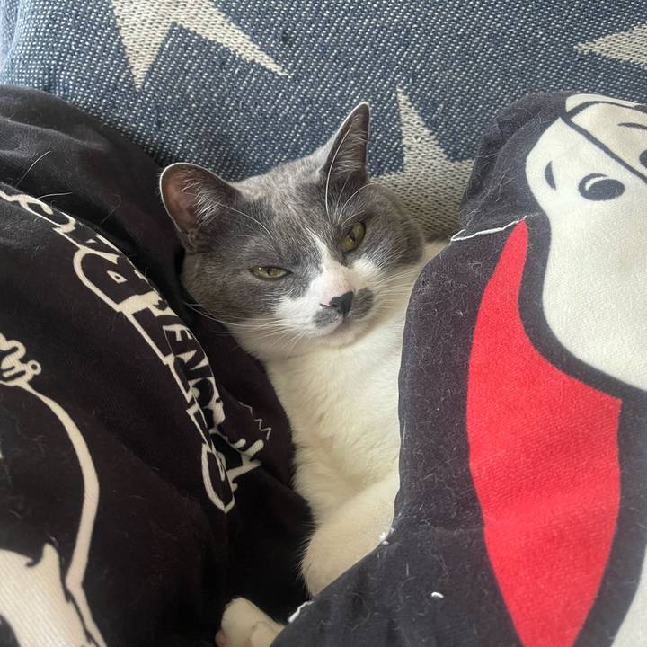 089a1f98 1f03 4a31 b280 4911b14ef64b 1651318498294