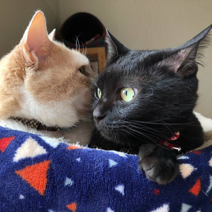 089a2ef9 6874 49d8 855e 6b90e6bf8443 1621809382191