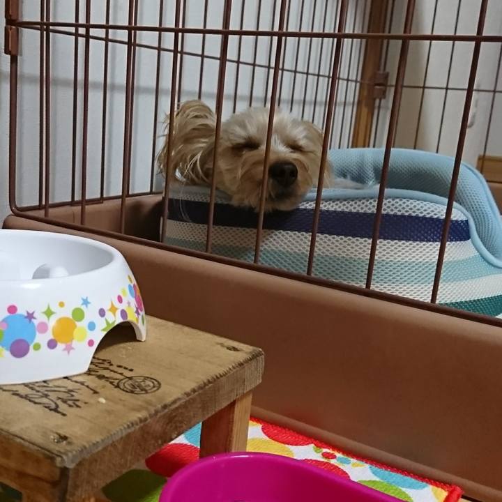 089a7e18 4041 4827 8195 686fad26a3f8 1543914943943