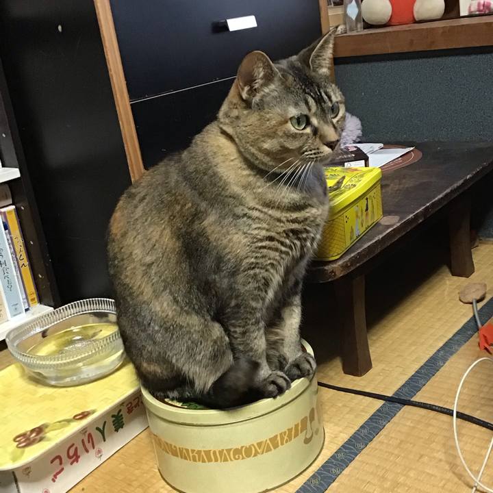 089a94e5 f511 49c3 a9ed a101a9a707fb 1707554252910