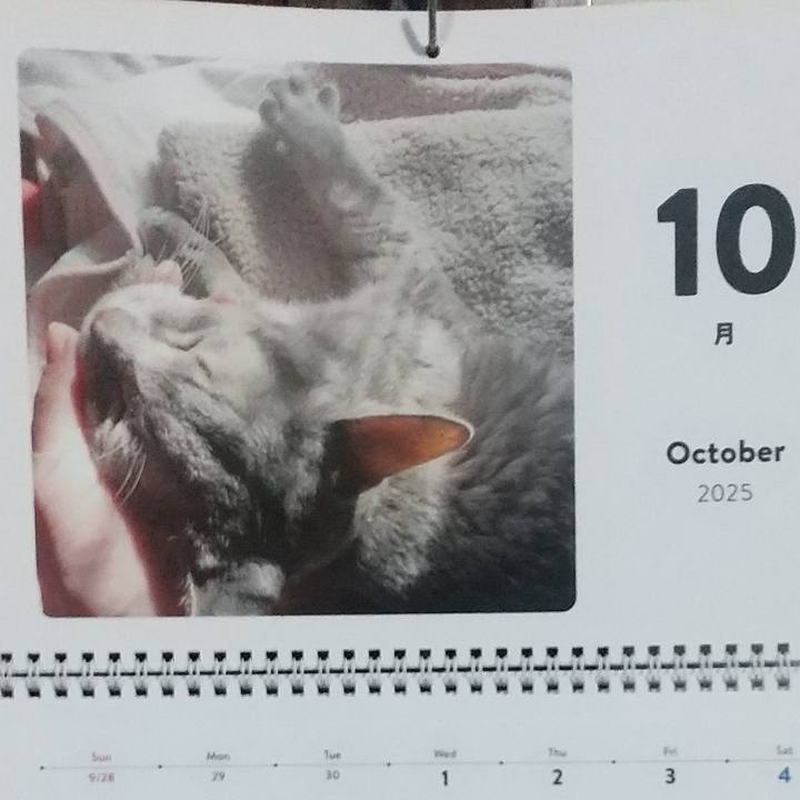 089a9dcc 10ec 4c90 af5b 2241094ec430 1759270754158