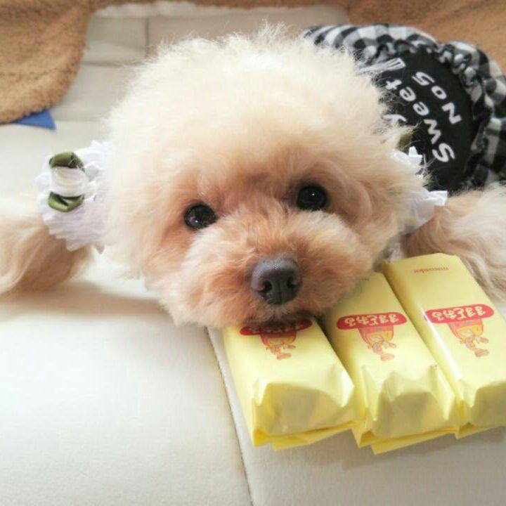 089ac0a9 65a8 402e b5bf aee8036330eb 1539833989481