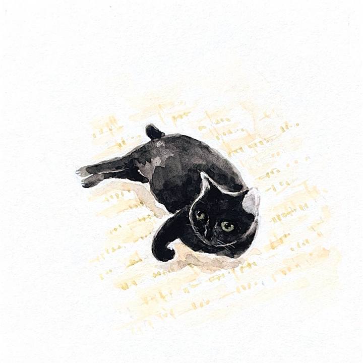 089afed1 c43e 43c6 9128 016d0cccc4a4 1774652435289