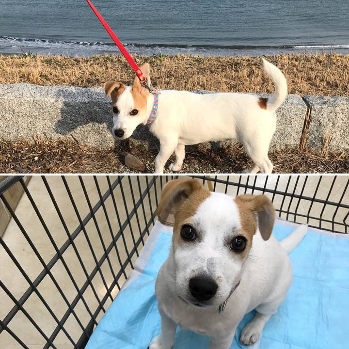 089b65b0 65d1 44f2 a98d 192949365933 1549529200468