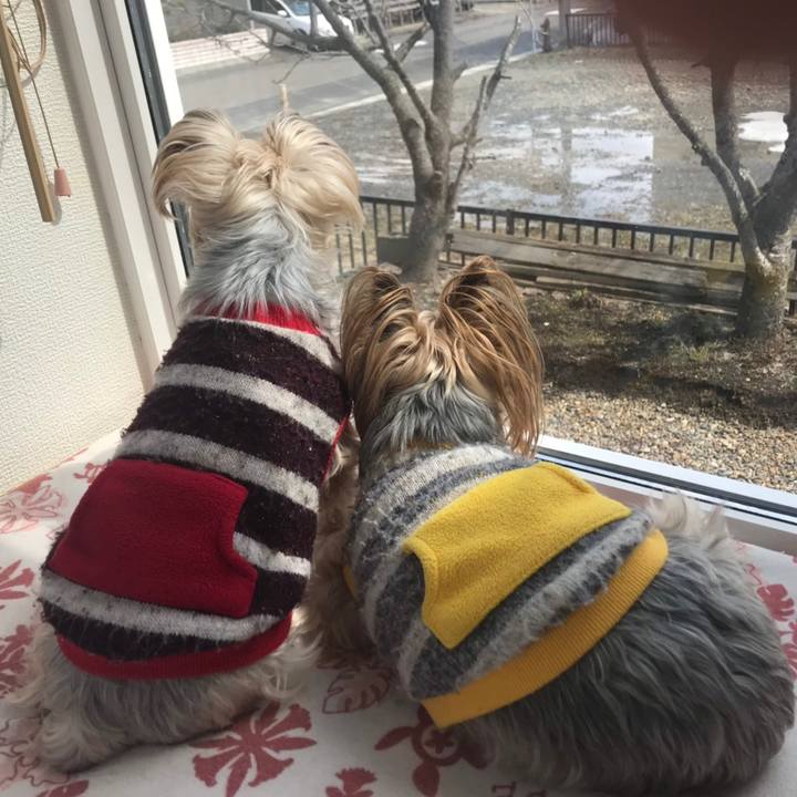 089bcdfe 0559 461a a417 44ff6ba3b924 1554937465231