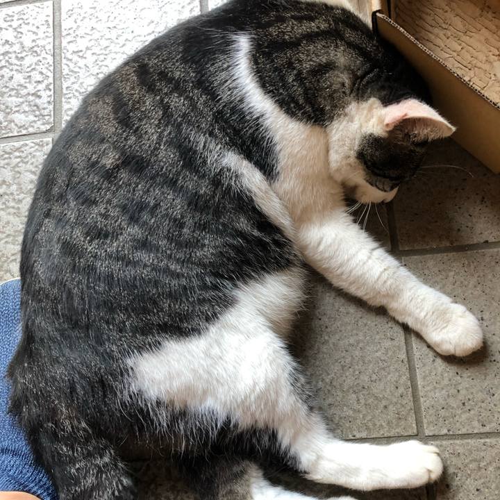 089c1374 fe68 45e3 9b8d ef3fde49a0da 1564541051399