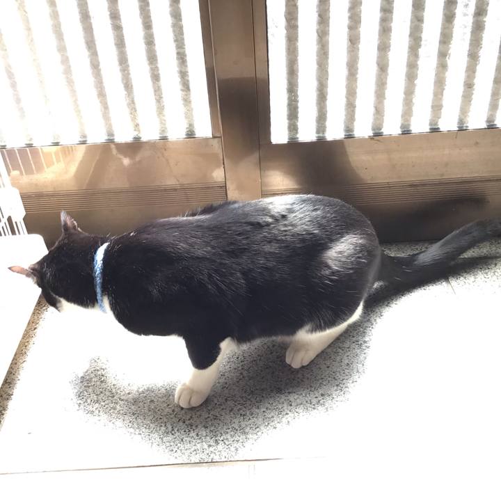 089c6949 e916 4dfd a09f 66b223b01fa2 1678416947651