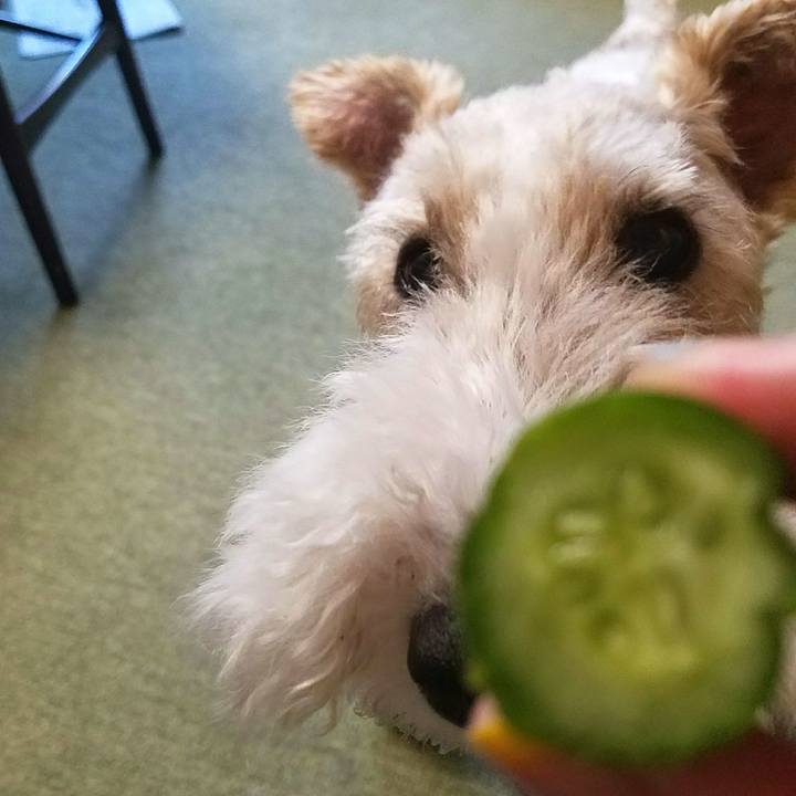 089c6a80 2de8 4b98 9388 6086fda062ef 1532386481076