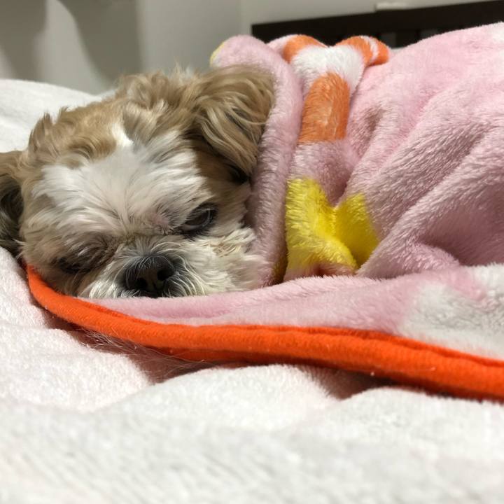 089c6a92 5707 4f97 ba81 ba557ce9e272 1576533243553