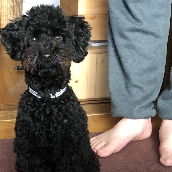 089c8932 5704 4e36 8966 7ca92e177c76 1515539573627