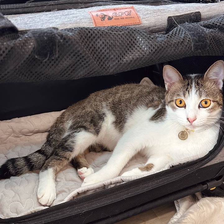 089c8d3f 16b1 4dbc 8cef b1840f914c61 1759043623651