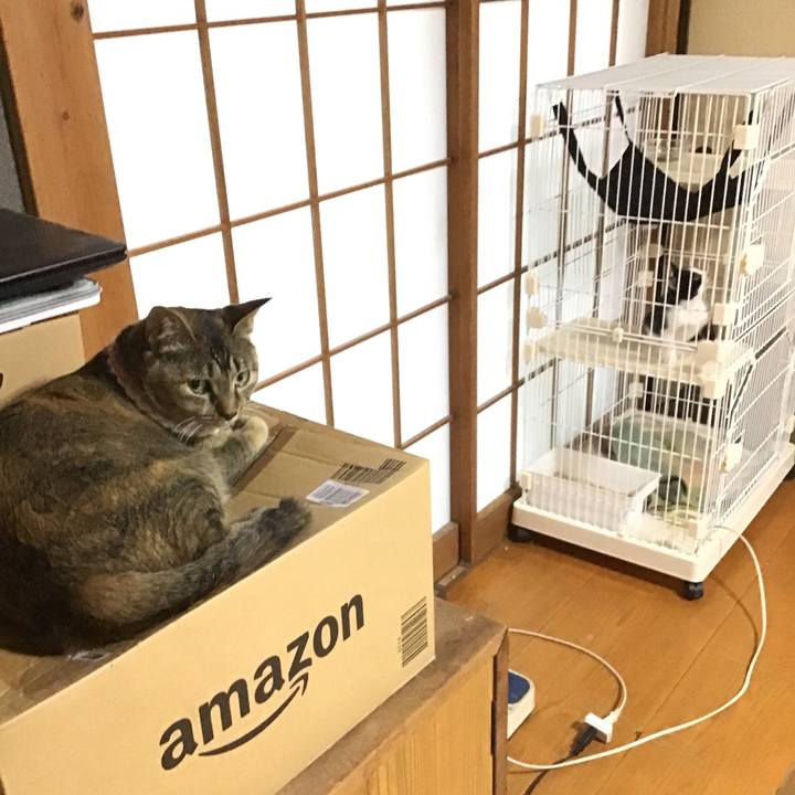 089ccec0 ca2a 415d 84a8 505a689f5c92 1624094507793