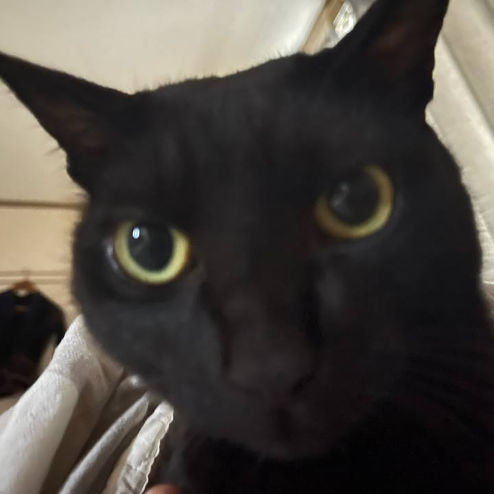 089cd10c becb 47f1 9c73 91ca51815c86 1731281470471