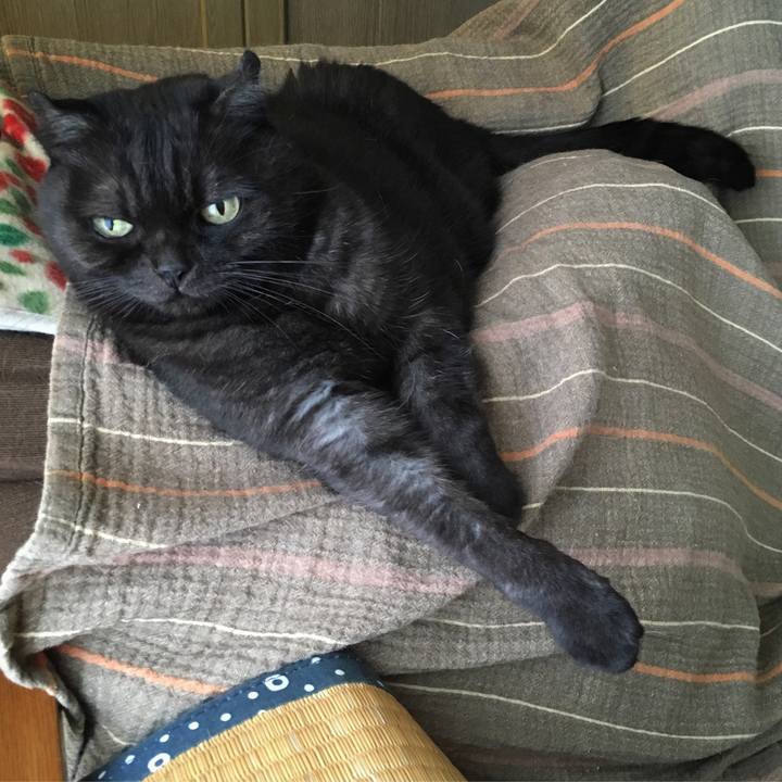 089ce33e 0049 4bbc 88c0 46903b39a52d 1538282930421