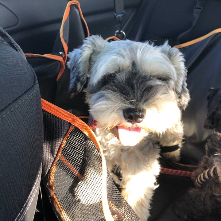 089d5202 a5b5 49bd 8abc 528d9cabbe8d 1572669097094