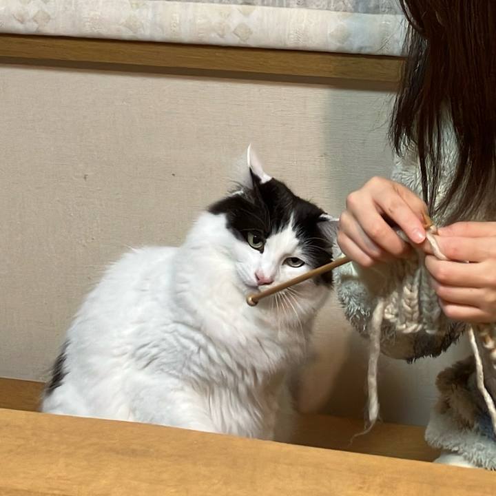 089d8701 601b 47e0 8ee2 e9237ce50ee8 1767275513498