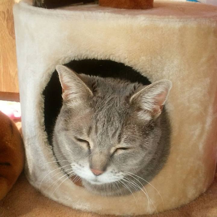 089dd561 9bff 457a 99ba 4b3da78e531b 1556932256131