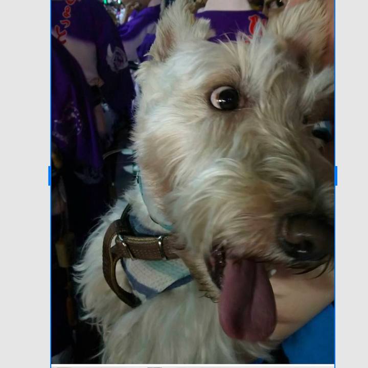 089deb94 86ff 426e bc88 f73dadf446d8 1532233765350