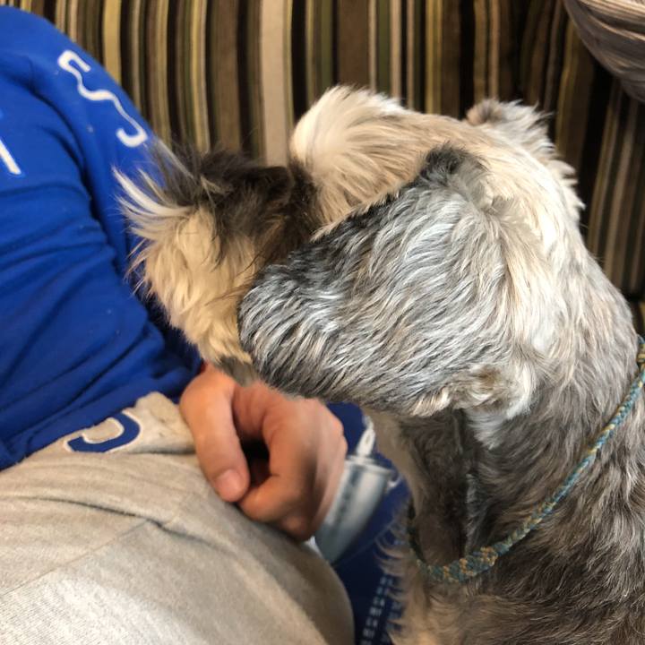 089dee68 9356 40ba a96a eddc14967cf2 1586649940591