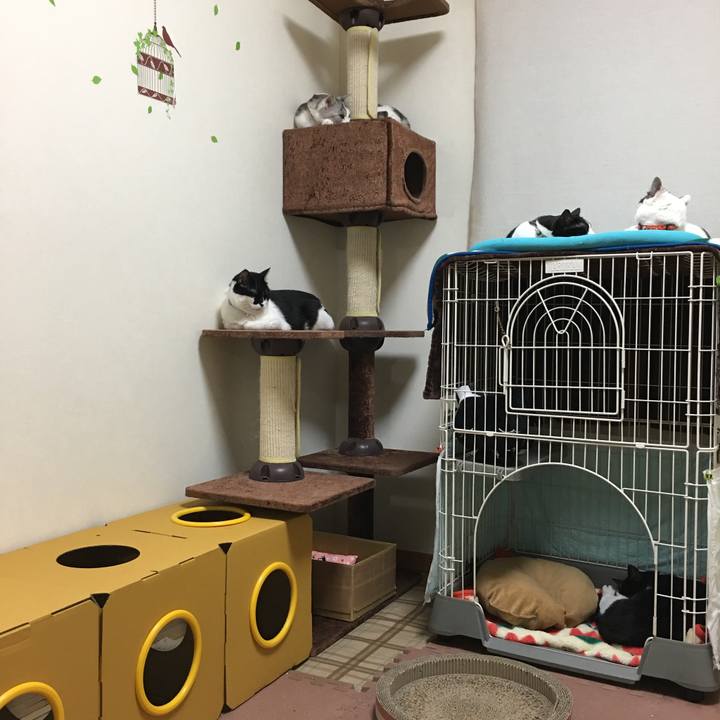 089e159c e350 41e9 a095 528652589e4c 1514040621224