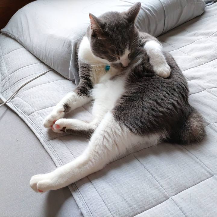 089e609e 9348 4056 a324 c3ea9935adec 1653120265859