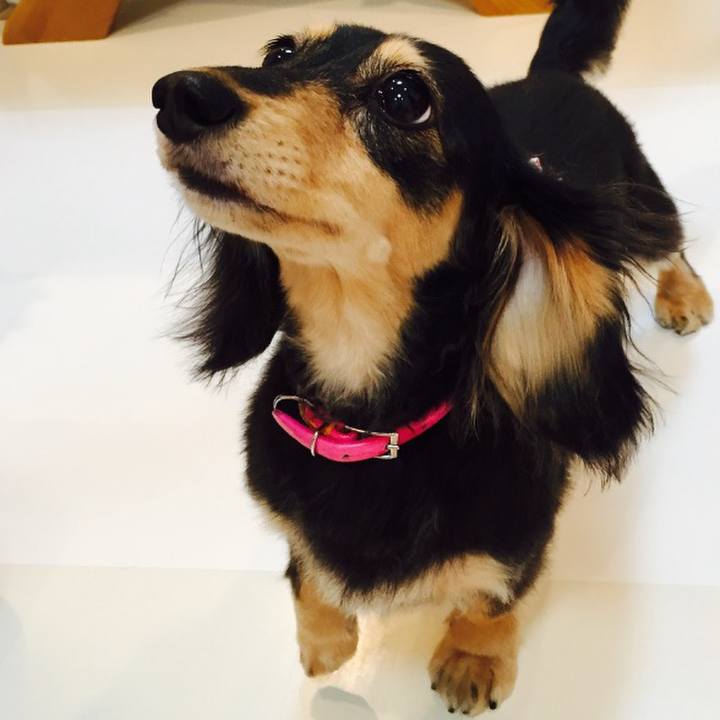 089e79d3 113e 40d8 83e3 1eb051b843dd 1559718712153