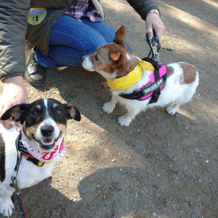 089eb378 fc0e 430d b44e f62a052a7d51 1606546071658