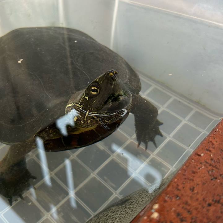 089f02cf 059a 4108 9169 fa60ab0e6f45 1678442280996