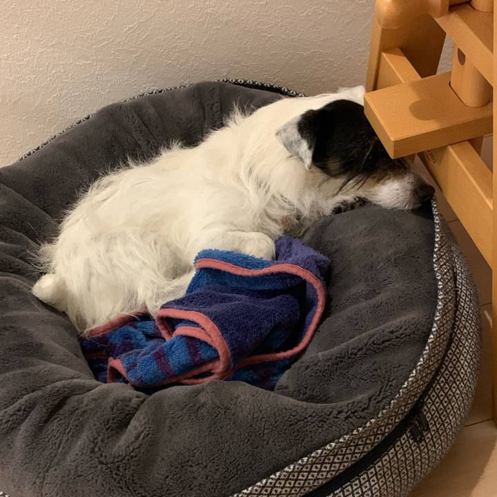 089f38fa 5a72 46c7 8d6a 30c6d968745a 1652351804799