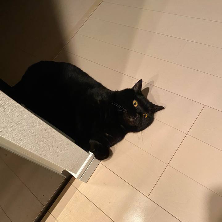 089f5ca5 37bb 4928 9a8c c9fe42e1daee 1716380615126