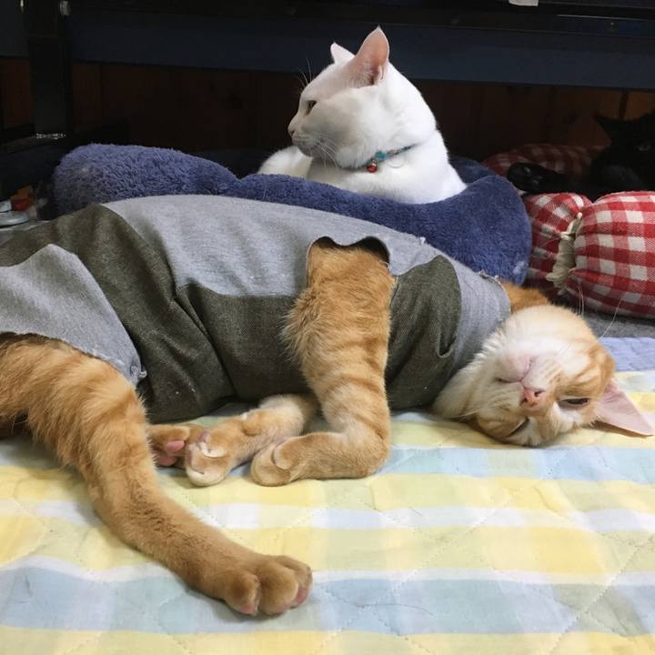 089f825d 1e13 44be 94e8 b144a5b839b2 1537968408504