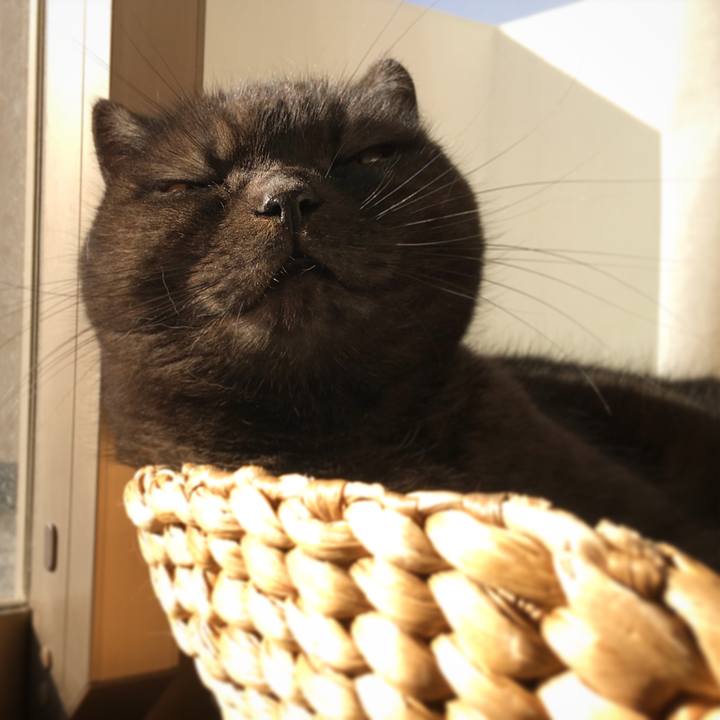 089fa827 ff7e 45f7 bda4 57e7ebed5667 1514632162968