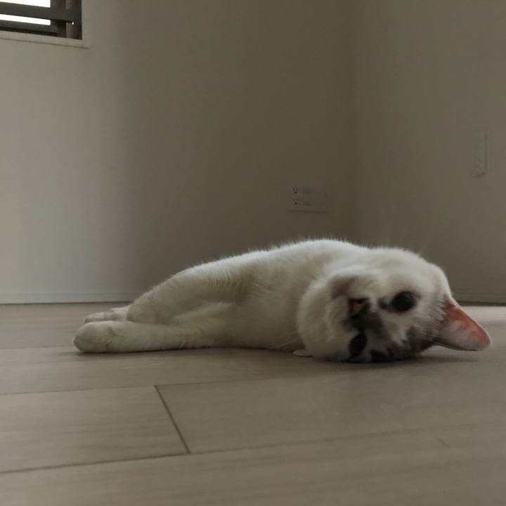 089fbba5 188f 4316 90d1 6c161b5531ae 1536189885818