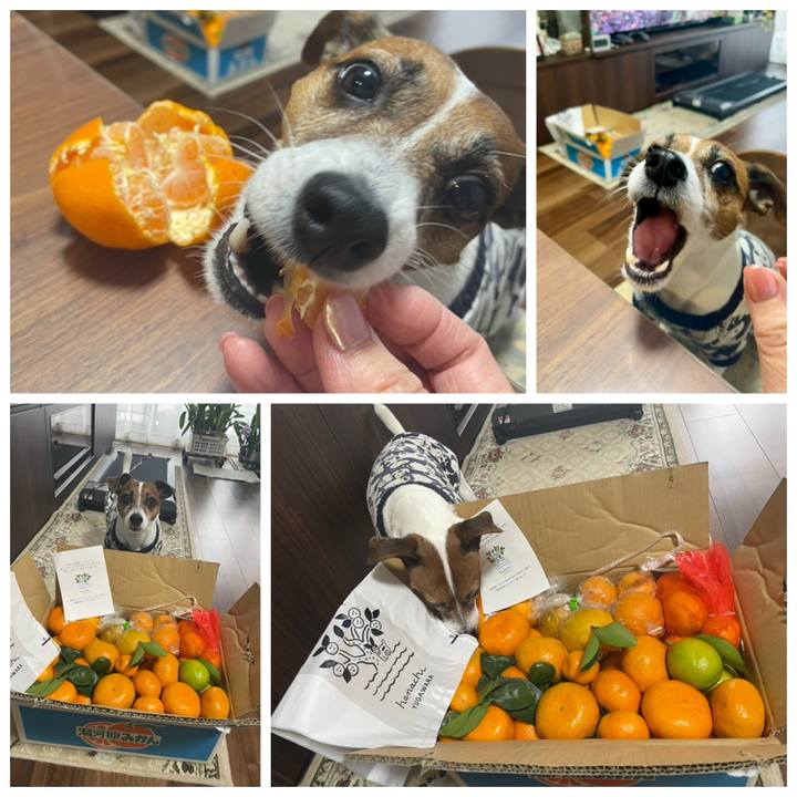 089feab1 af91 4006 a3e3 708856c338ef 1735107024585