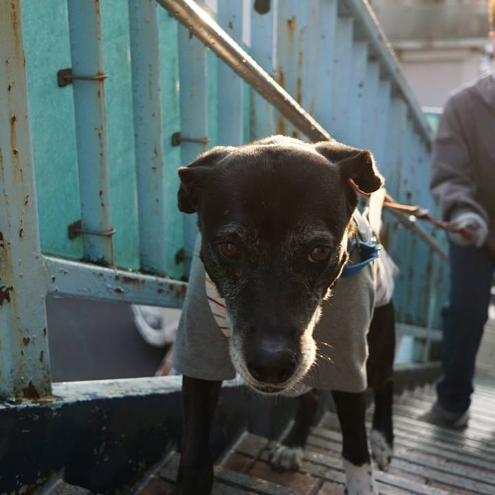 08a009f0 190b 406b ac63 fc7adca0f3fb 1766623995829