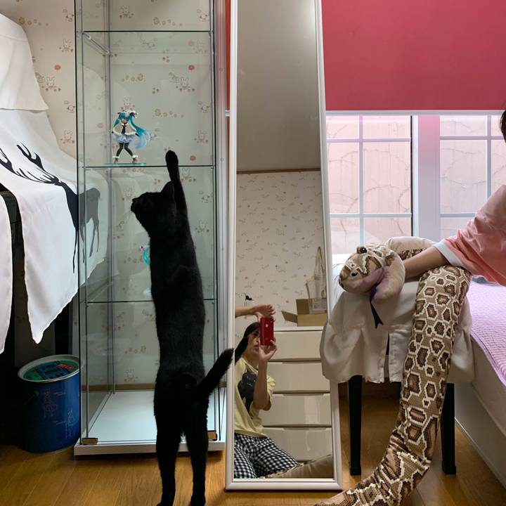 08a03808 4990 4041 99db 160ddee7f295 1595757323903