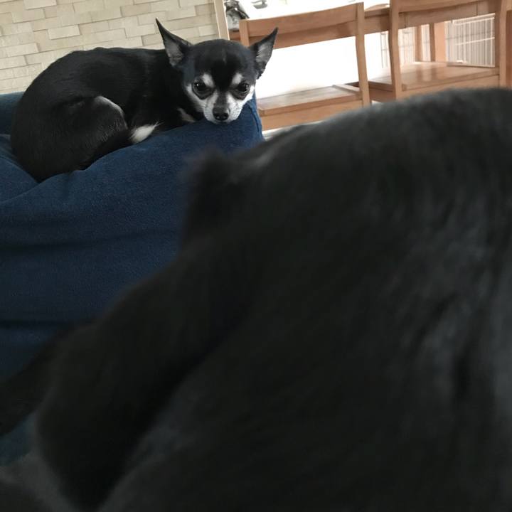 08a04d9c 3e51 4c3c 90a1 32723fe86ca7 1522275598448