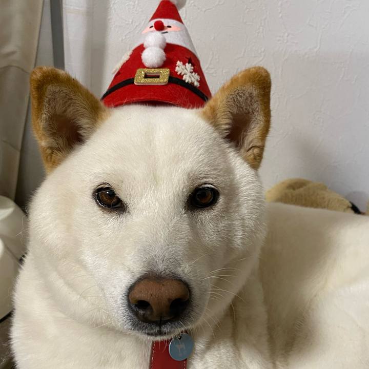 08a053f8 ec1e 4146 b854 07bfca2606da 1640407848841