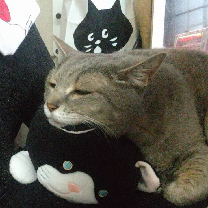 08a097bc 20a1 488d bee1 8d43caf1a111 1651696744475