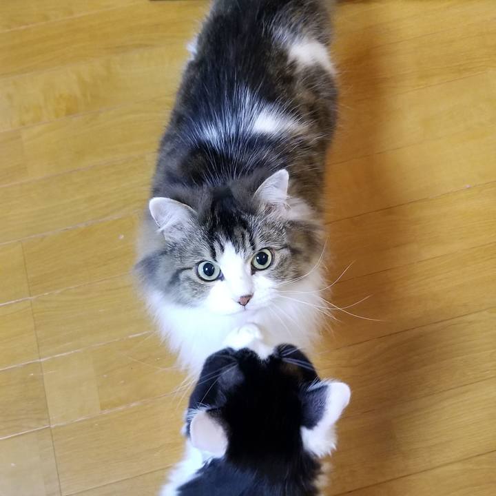 08a0a5a1 eeb9 4edf be30 4c314695cc0c 1549717738706