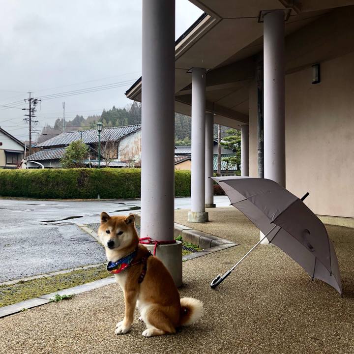 08a0ef3c 2f6e 42dd 944b e36f02ae74ff 1521444207016