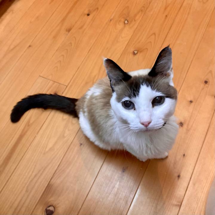 08a13ec2 cd93 436a 8c84 a14e5b519f62 1678849438130