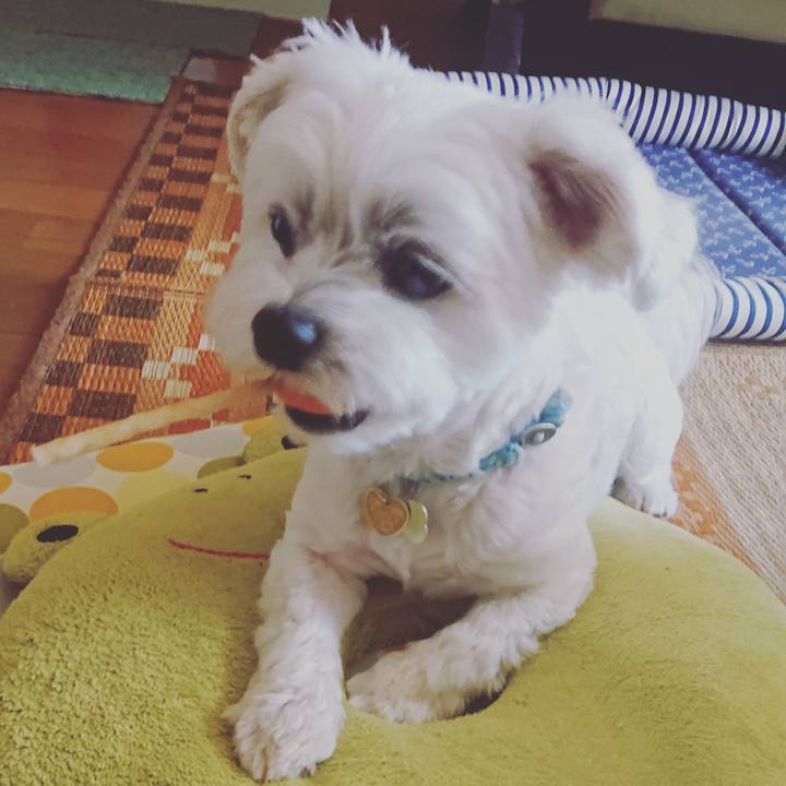 08a14a16 a287 4b91 b001 3795248bebf3 1558494211403