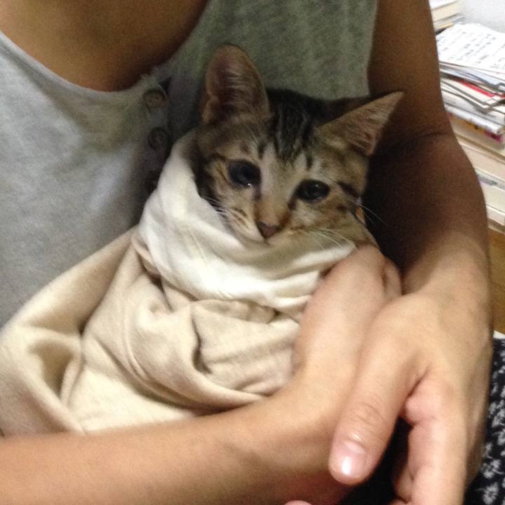 08a1769b c122 4685 8c1f bd2d6da33e04 1626417133816