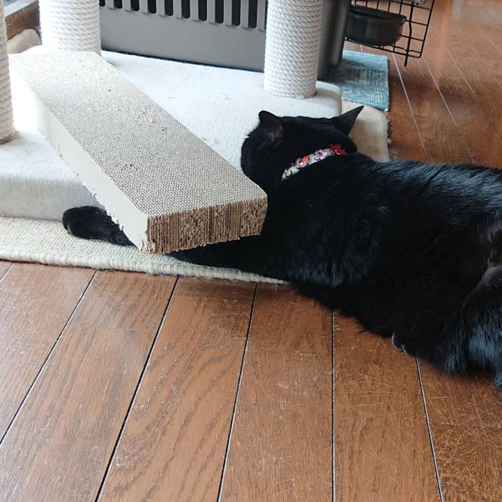 08a186c8 0748 4af3 915c 0861e70f62b2 1574897916912