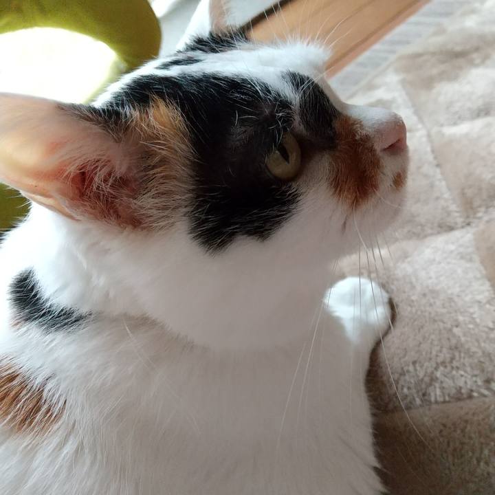 08a1896d c215 46ec 9b91 862bf3b3f82f 1633822372001