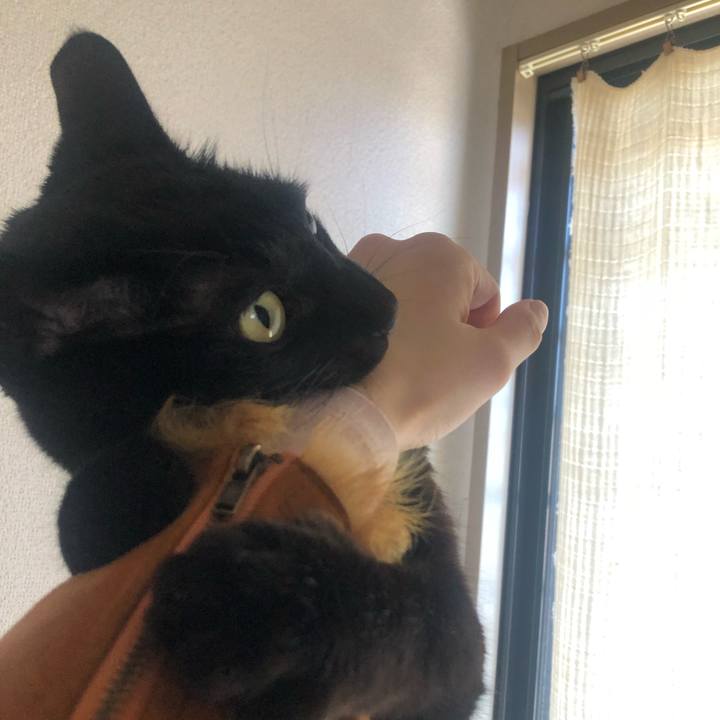 08a1a6b8 811b 4dbe 8e20 c93f38b23c83 1645769226827